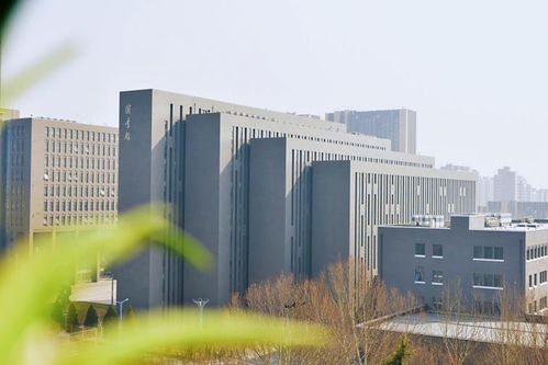 北京石油化工學(xué)院王牌專業(yè) 這一專業(yè),與國字號企業(yè)對口